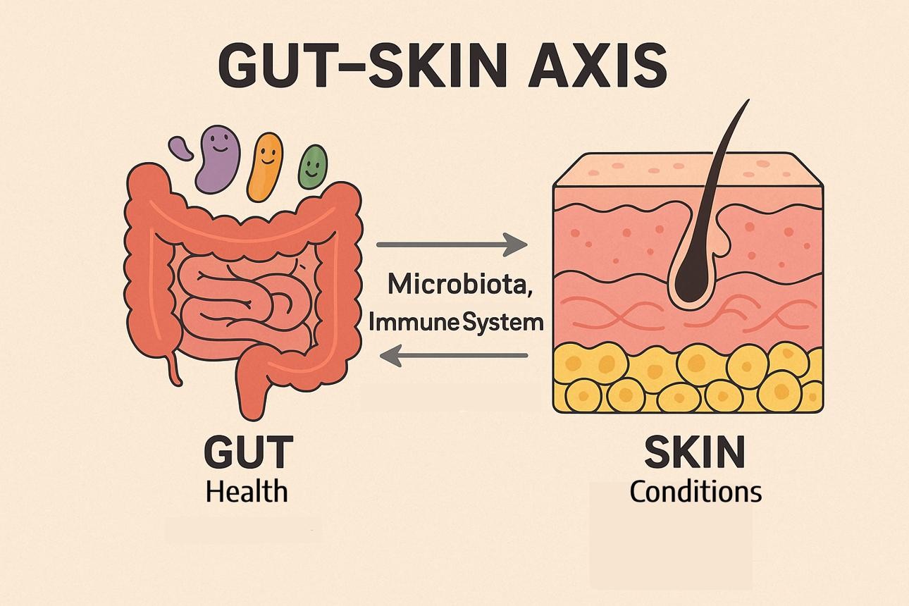 Gut- skin axis 1